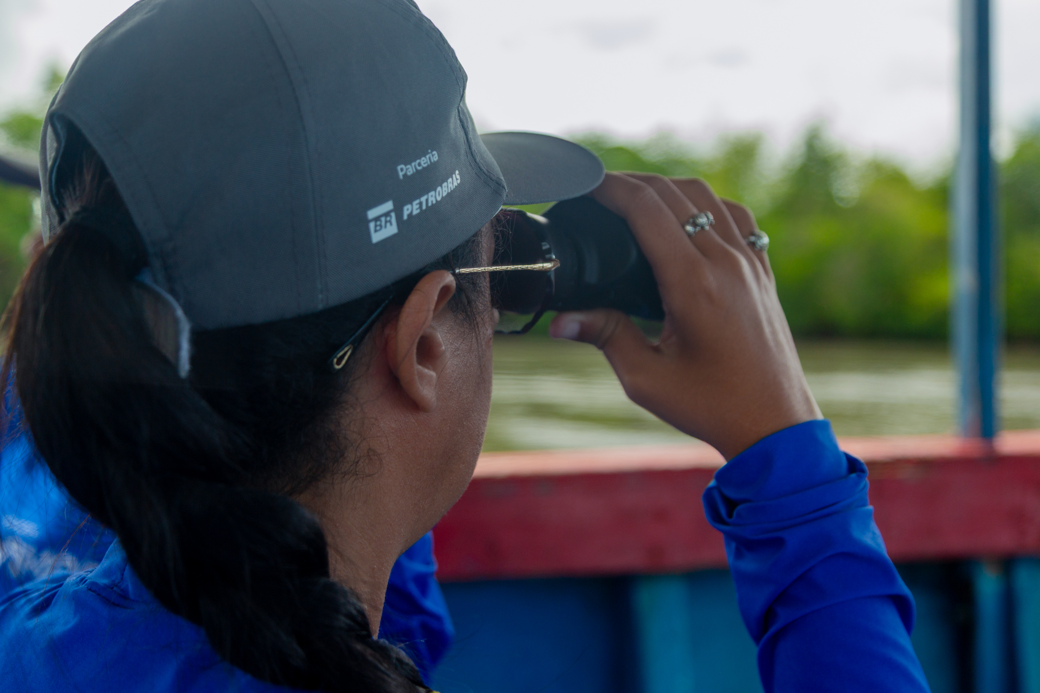 Projeto FaunaMar dará continuidade às pesquisas do peixe-boi na divisa entre Ceará e Piauí