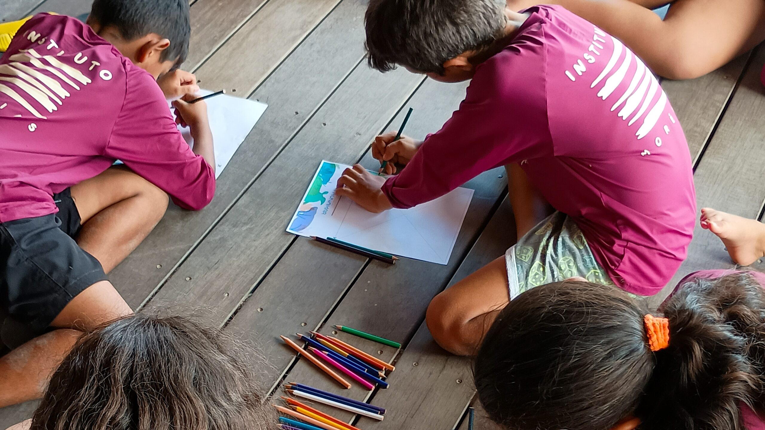 A Semana do Meio Ambiente e a Semana da Tartaruga Marinha foi um sucesso