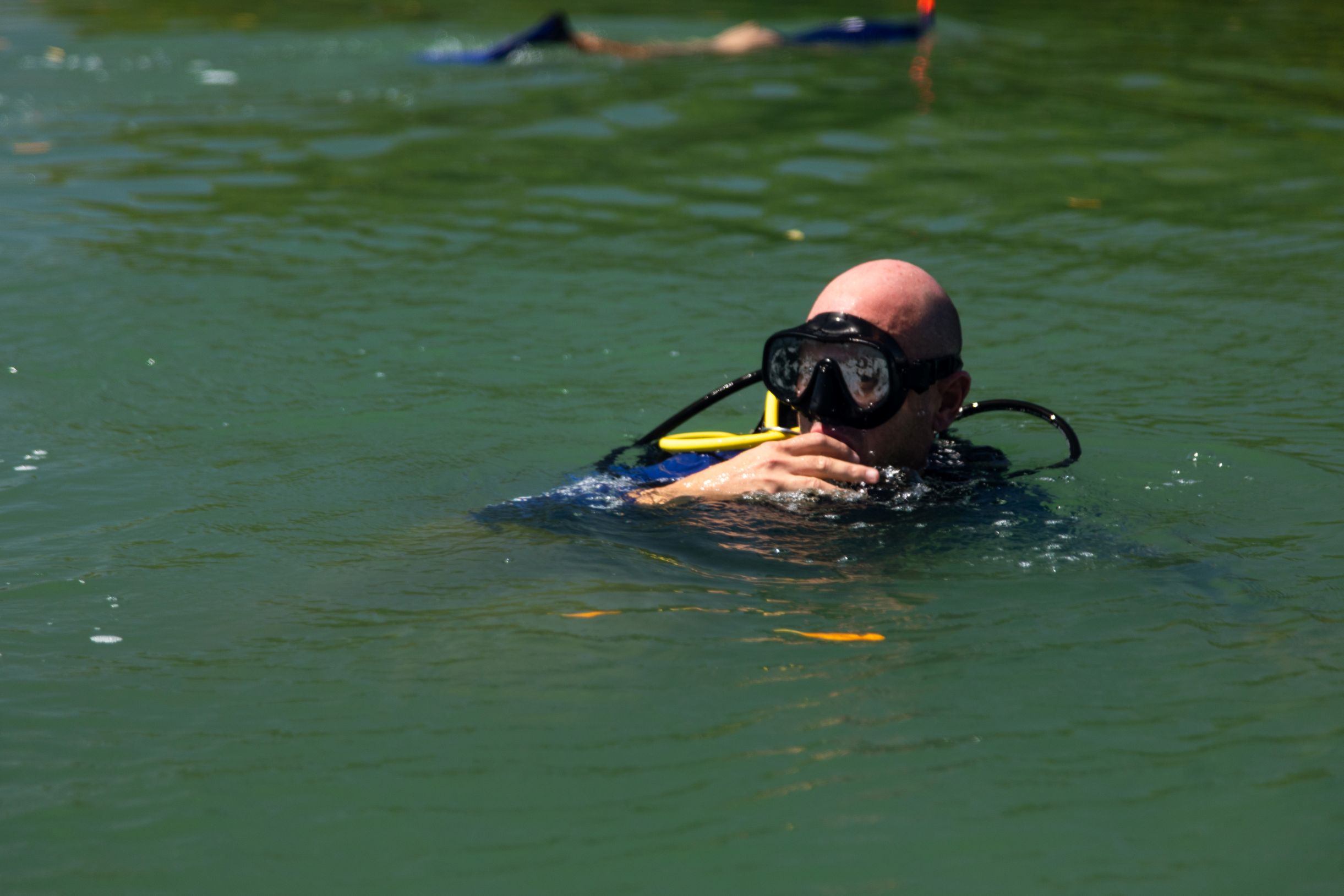 Saída de campo no litoral do Piauí fortalece estratégias para conservação dos peixes-bois marinhos