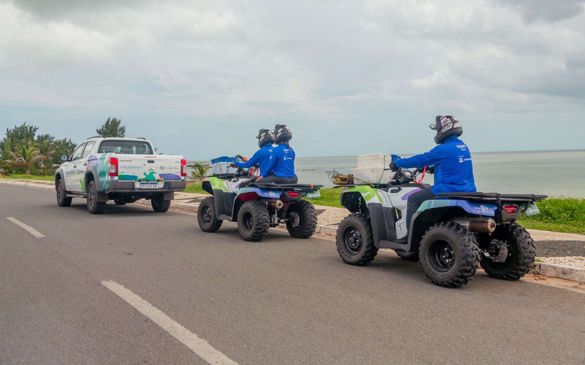 Recorde de ninhos de tartarugas marinhas no extremo oeste do Ceará em 2025