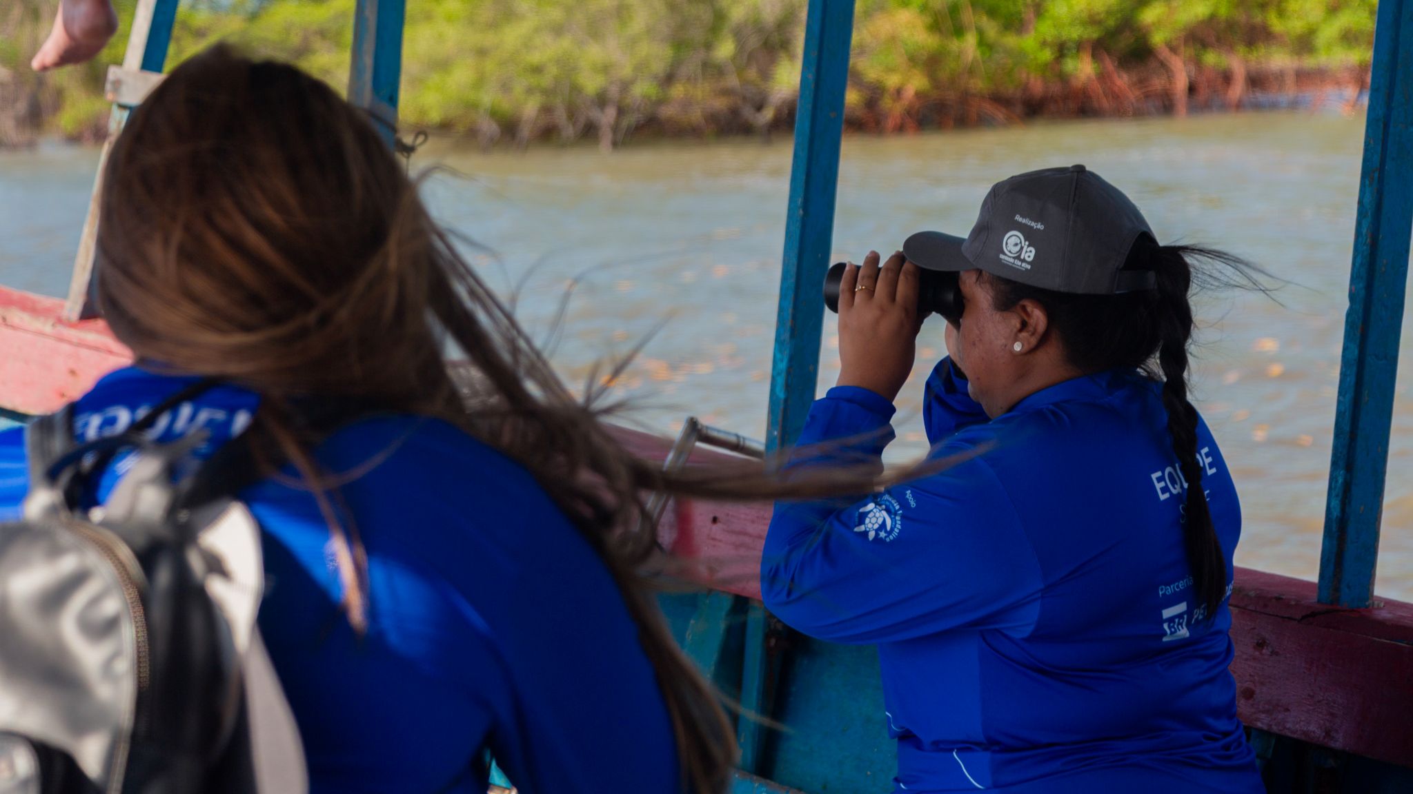 Ciência e conservação: o peixe-boi marinho terá estudo inédito no Piauí